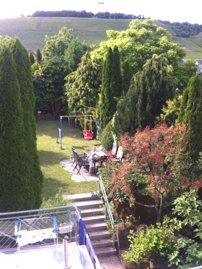 Doppelzimmer Mit Terrasse Zum Garten, Ruhig, Weinbergsblick, Zusaetzliches Kinderzimmer Anbei Moeglich Віннінгґен Екстер'єр фото
